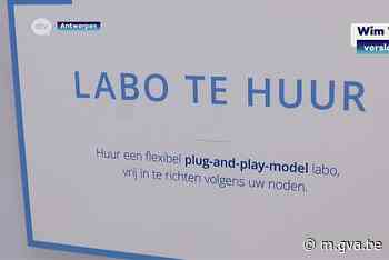 BlueChem moet Antwerpse haven proper en klimaatneutraal maken - Gazet van Antwerpen