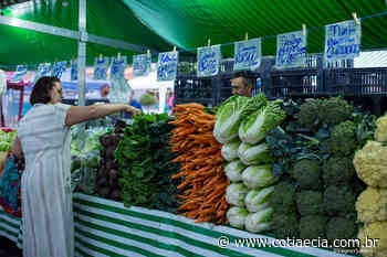 Feirantes de Cotia recebem licenças de funcionamento durante evento na prefeitura - Cotia e Cia