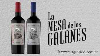 En alianza con dos empresas, El Cairo lanzó el vino “La Mesa de los Galanes” - agrositio.com.ar