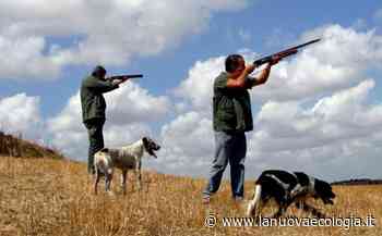 Caccia, Ispra: "Sono necessari limitati eccezionali" - La Nuova Ecologia - La Nuova Ecologia