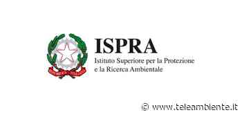 La strategia dell’Ispra per la sostenibilità e la Transizione ecologica - TeleAmbiente TV