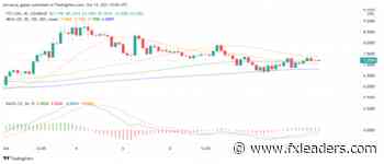 Good Time to Buy Tezos (XTZ)? Here's Why We Think So - FX Leaders - FX Leaders