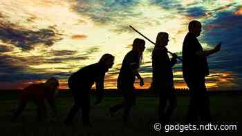 Researchers Attempt to Solve 'Muddle in the Middle' by Naming New Human Species
