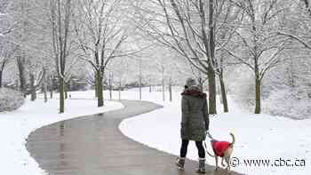 Need a place to go when nature calls this winter? The City of Toronto wants to help