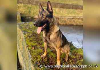 Police dog helped detain suspects running from stolen vehicle in Edenfield