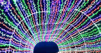 There's a festival with over a million lights opening near Toronto - blogTO