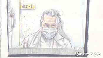 Peter Nygard appears in Toronto court to face sexual assault charges - CBC.ca