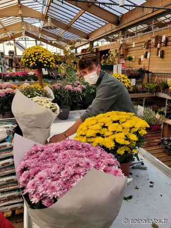 Toussaint - Les chrysanthèmes et compositions florales à l'honneur à Epinal - Epinal infos - Epinal Infos