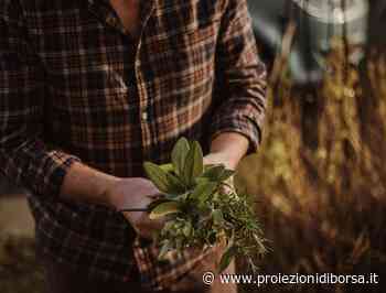 Troppo spesso considerato solo un condimento questa erba aiuterebbe incredibilmente il cuore rinforzando l ... - Proiezioni di Borsa