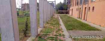 CASALE Arriva il robot che taglia l'erba nel quartiere da completare - Il Cittadino