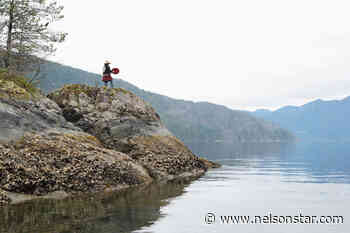 An experience shared - Nelson Star