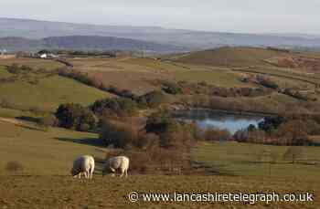 Natural wonders around East Lancashire for you to enjoy