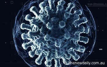 US spies unable to conclude origins of the coronavirus as fuller report released - The New Daily