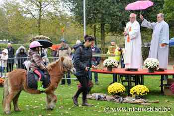Sint-Hubertusfeest in gemeentepark