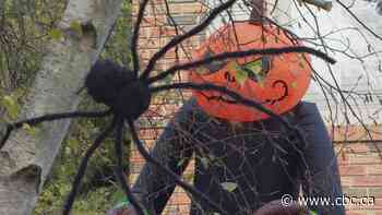 Why some creepy crawly creatures of Halloween get a bad rap