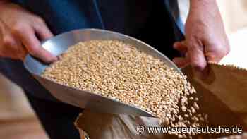 Müller kämpfen mit steigenden Rohstoff- und Energiepreisen - Süddeutsche Zeitung