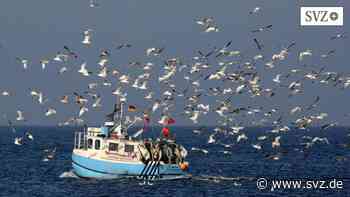 Stralsund: Kutter- und Küstenfischerverband von MV will sich auflösen | svz.de - svz – Schweriner Volkszeitung