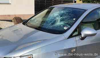 Auto im südpfälzischen Steinfeld beschädigt und mit Eiern beworfen - die neue welle