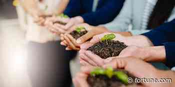 Social innovators can work with corporations to help America—and their bottom lines - Fortune