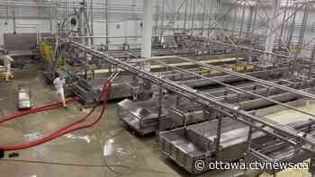Labour shortage forces St-Albert Cheese Co-op to cut production - CTV News Ottawa