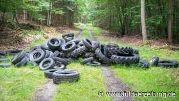 Fulda: Reifen illegal in Wald entsorgt - So laufen die Ermittlungen - Fuldaer Zeitung