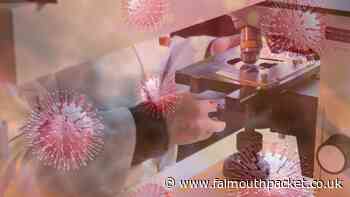 Coronavirus in Cornwall update: Saturday, October 30 2021 - Falmouth Packet