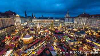 Rund 30 Meter hoch: Tanne für Dresdner Striezelmarkt steht - Süddeutsche Zeitung