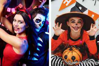 Dresden: Gruseln und genießen am letzten Ferien-Wochenende - Unsere Tipps! - TAG24