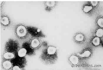 Week of Oct. 29 coronavirus roundup for San Benito County - Benitolink: San Benito County News