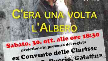 La scomparsa degli ulivi nel Salento: l'opera prima di un giornalista svizzero - LeccePrima