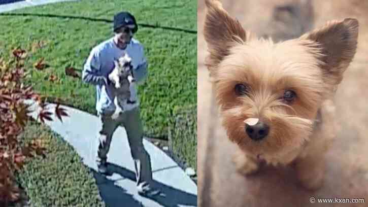 Family calls pool worker a 'monster' after he admits to killing their 16-year-old dog
