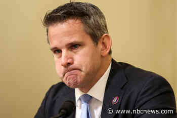 The cannibalization of the GOP is getting worse. Just ask Rep. Adam Kinzinger.