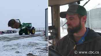 On Alberta's dryland farms, reflections on a devastating year and an eye to what's next