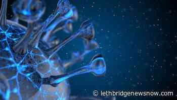 603 new COVID cases confirmed in Alberta Friday - Lethbridge News Now