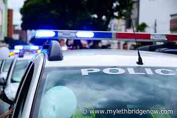 Report says provincial police force in Alberta "realistic, cost-effective" - My Lethbridge Now