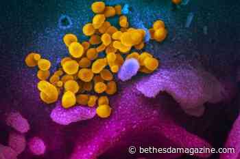 County now in 'substantial transmission' of coronavirus, pending CDC confirmation - BethesdaMagazine.com