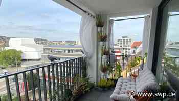 Sedelhöfe in Ulm: Erneuter Aufschrei aus den „Mängelhöfen“: Bewohner drohen mit Anwälten - SWP