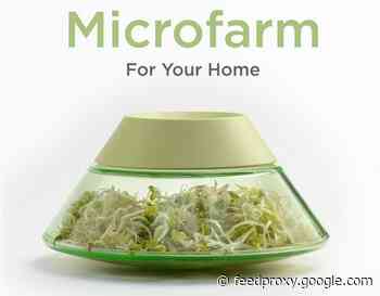 Eat healthily with the home seed, sprout growing microfarm