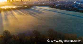 The mystery of London's own 'Loch Ness Monster' that stalked Hackney Marshes and left children 'terrified' - My London