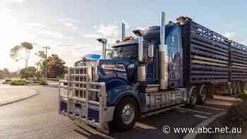 Concerns for supply chains as vaccine deadline looms for freight workers entering the NT