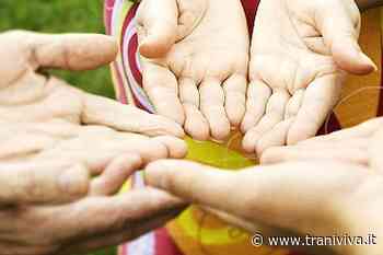 Puglia sociale 3.0: Csvsn e Comune insieme nel webinar rivolto alle associazioni - TraniViva