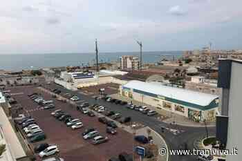 Poco verde e alberi secchi: nella zona nord di Trani il verde è una speranza - TraniViva