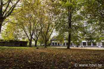 Groeikansen voor Lozen LOZEN - Het Belang van Limburg
