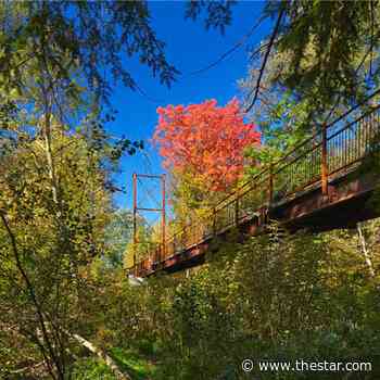 Winners of Urban Design Excellence Awards 'putting Markham on the map' - Toronto Star