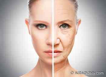 Pioneering New Cell Treatment Could Combat Aging
