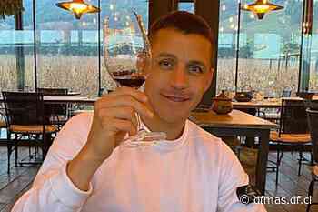 Alexis Sánchez compra terrenos en Mendoza y Región del Maule para producir vinos boutique - Diario Financiero