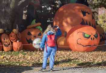Decorations get super-sized for second pandemic-era Halloween - Dawson Creek Mirror