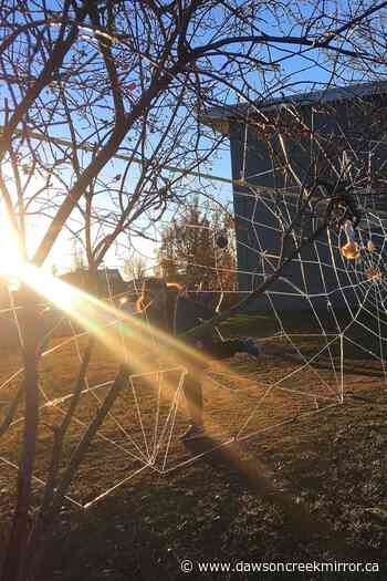 Spider-men caught web spinning - Dawson Creek Mirror