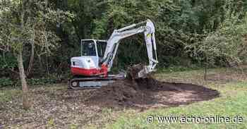 In Griesheim werden Laichbiotope für Amphibien geschaffen - Echo Online