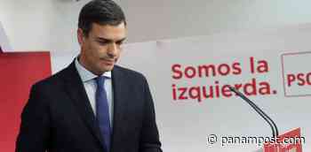 Pedro Sánchez y la estupidez progre de querer “abolir la prostitución” - PanAm Post